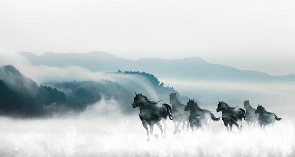 企業(yè)戰(zhàn)略規(guī)劃：為企業(yè)制定全面、長(zhǎng)遠(yuǎn)的發(fā)展戰(zhàn)略