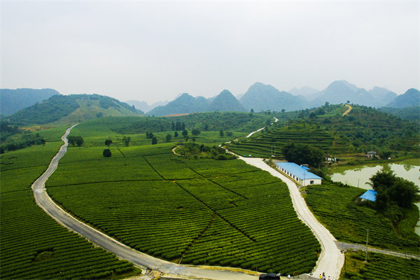 清遠(yuǎn)年度經(jīng)營計(jì)劃咨詢公司如何助企業(yè)精準(zhǔn)規(guī)劃？