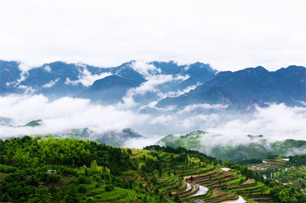 溫州供應(yīng)鏈咨詢公司如何優(yōu)化企業(yè)供應(yīng)鏈流程？