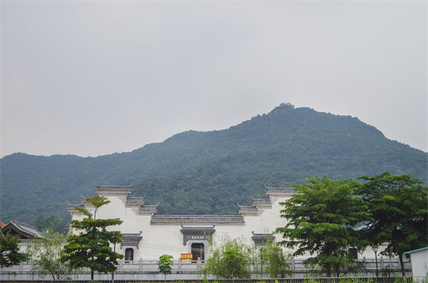 佛山組織規(guī)劃咨詢公司如何優(yōu)化企業(yè)人才梯隊(duì)建設(shè)？