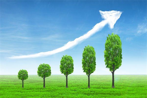植樹就是植未來，對企業(yè)的戰(zhàn)略規(guī)劃有哪些啟示？