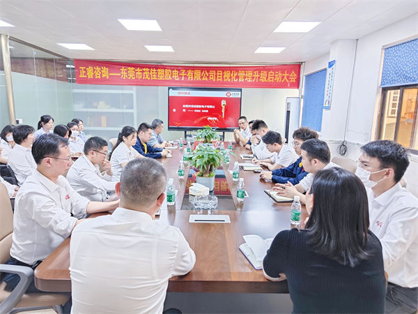 東莞市茂佳塑膠電子有限公司目視化管理升級啟動(dòng)大會