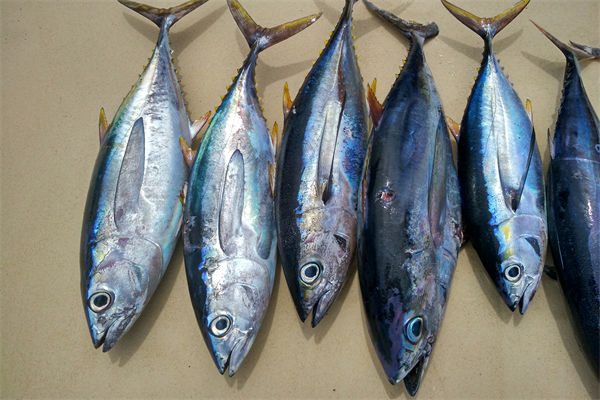 商務(wù)部：將幫助外貿(mào)企業(yè)擴(kuò)寬內(nèi)銷渠道，政策解讀！